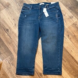 Lane Bryant Dark Blue Ankle Jeans